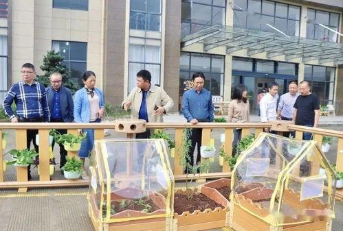 贝玛教育 丽水市学前教育专家实地参观指导，共促教育发展