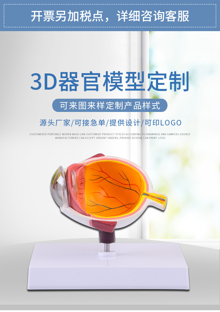医用教学器官模型在病理分析教育中的应用 以单眼眼球模型为例